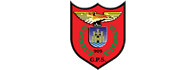 Grupo Proteccion Seguridad 909